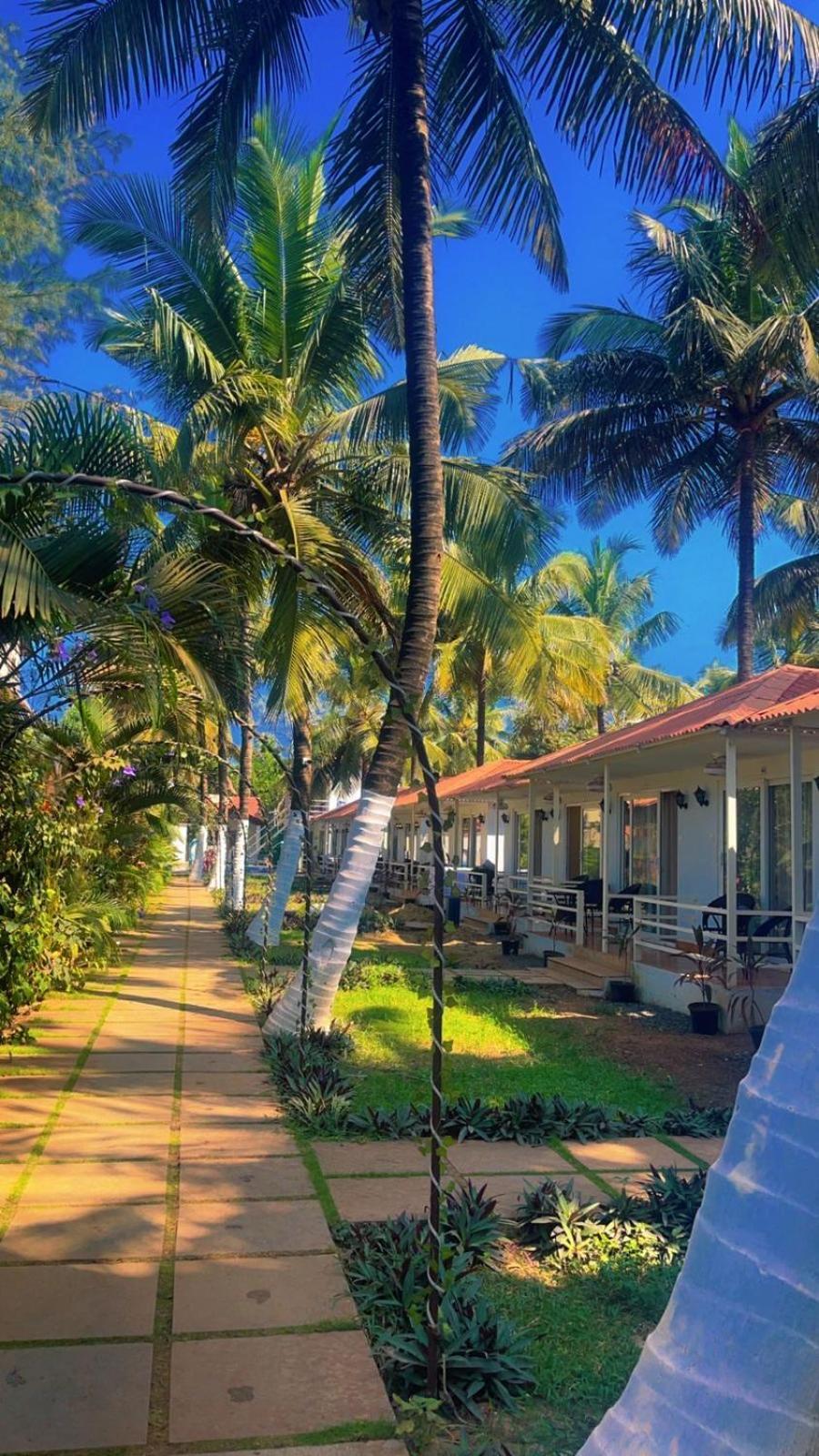 Arabian Sea Beach Resort Morjim Eksteriør bilde